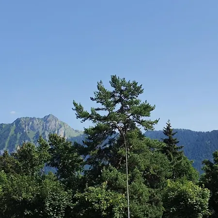 Heidi Apartamento Leysin