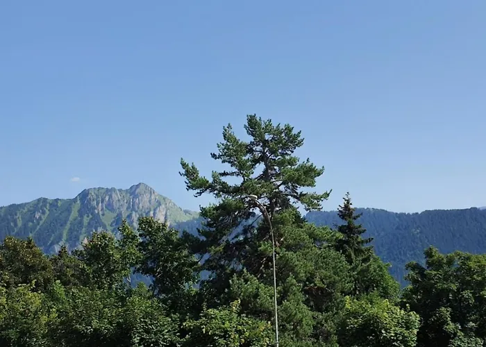 Heidi Lägenhet Leysin